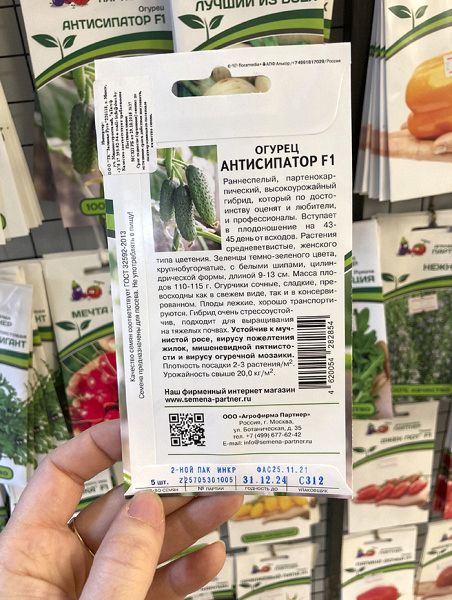 огурец партенокарпический Антисипатор F1